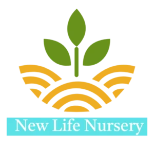 Product Name: Royal Tropical Areca Palm – Ultra-Realistic Artificial Floor Plant in Designer Minimalist Planter